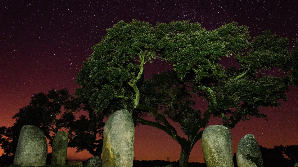 The standing stones of the Vale Maria do Meio cromlech near Évora under a starry Alentejo sky