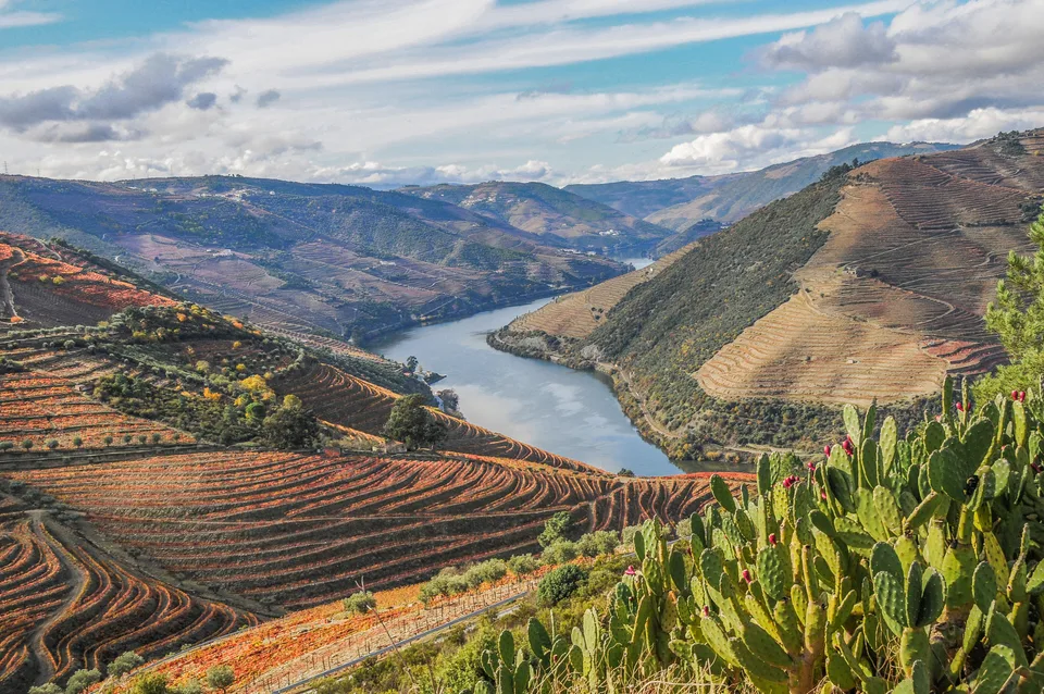 The Douro bending between terraced vineyard hills at Valença do Douro, northern Portugal