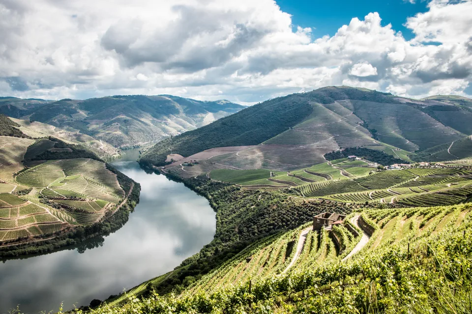 The Douro turning between green terraced hills at Ervedosa do Douro