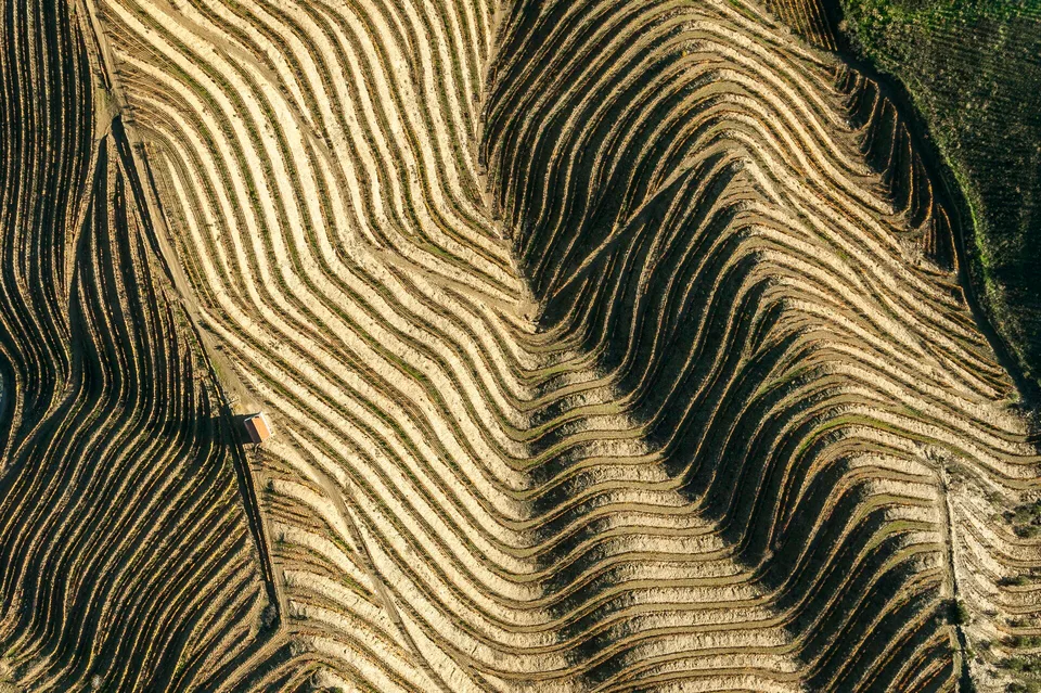 Vinha ao alto terracing above the Douro at Quinta Vale d’Agodinho