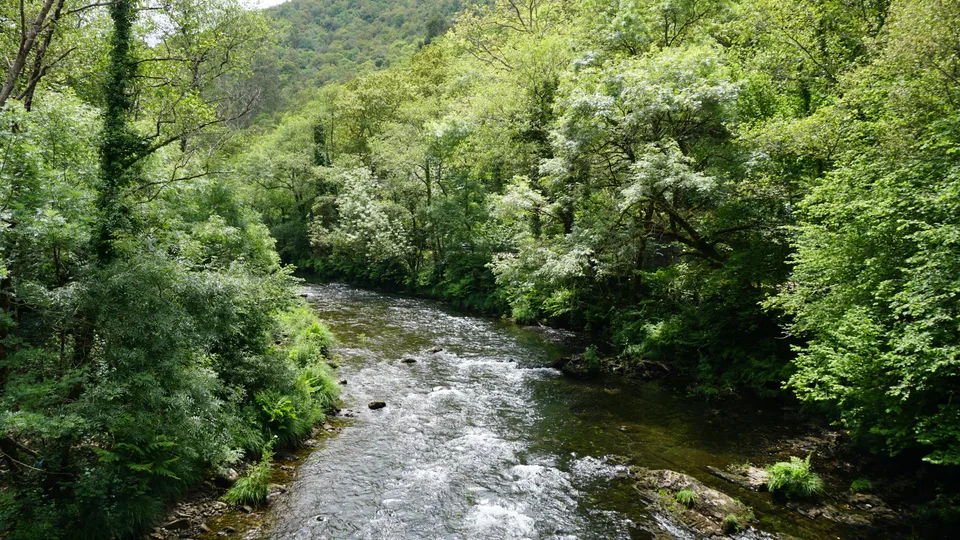 The Eume running through the Fragas do Eume forest, Galicia